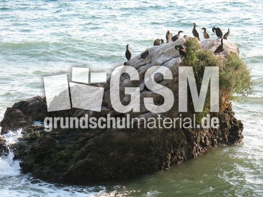 Italien Friaul Castello di Miramare  014.JPG